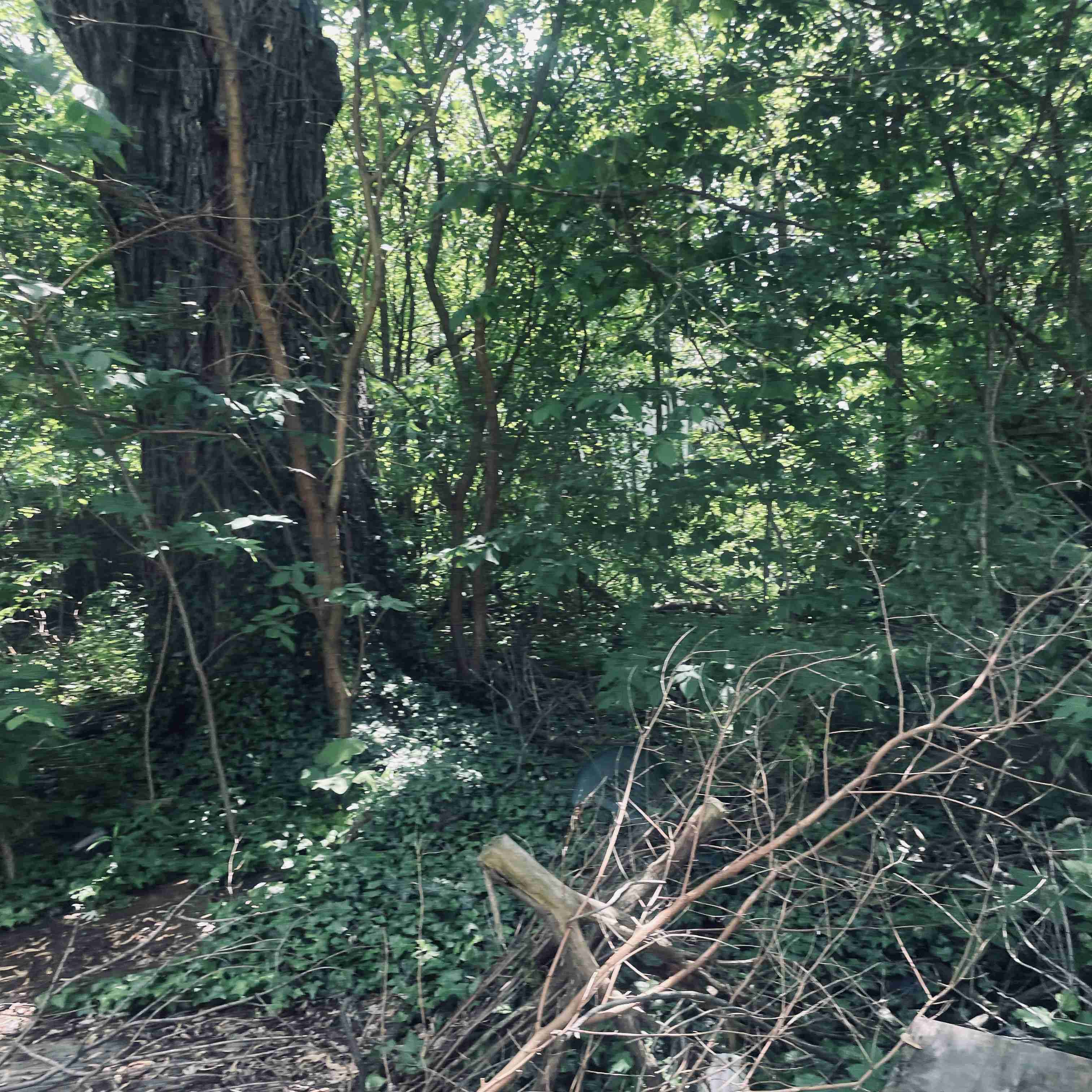 2537 Fullerton (18).jpg